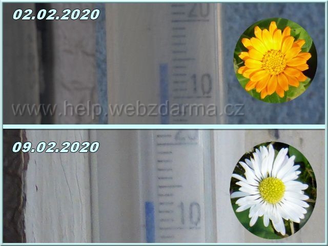 februar 2020